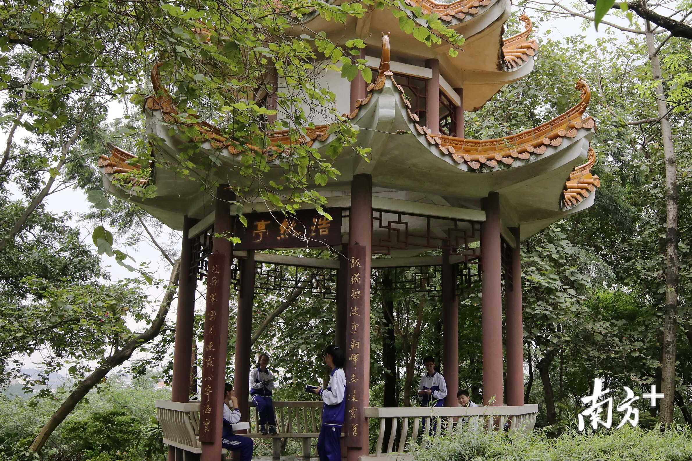 六十五中浩然亭。