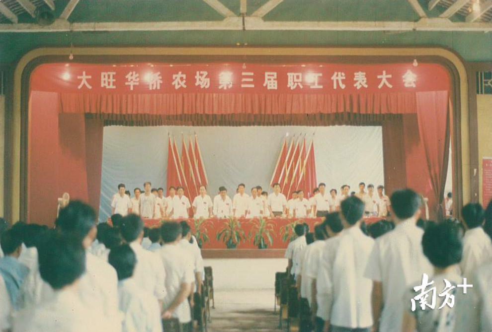 大旺华侨农场第三届职工代表大会