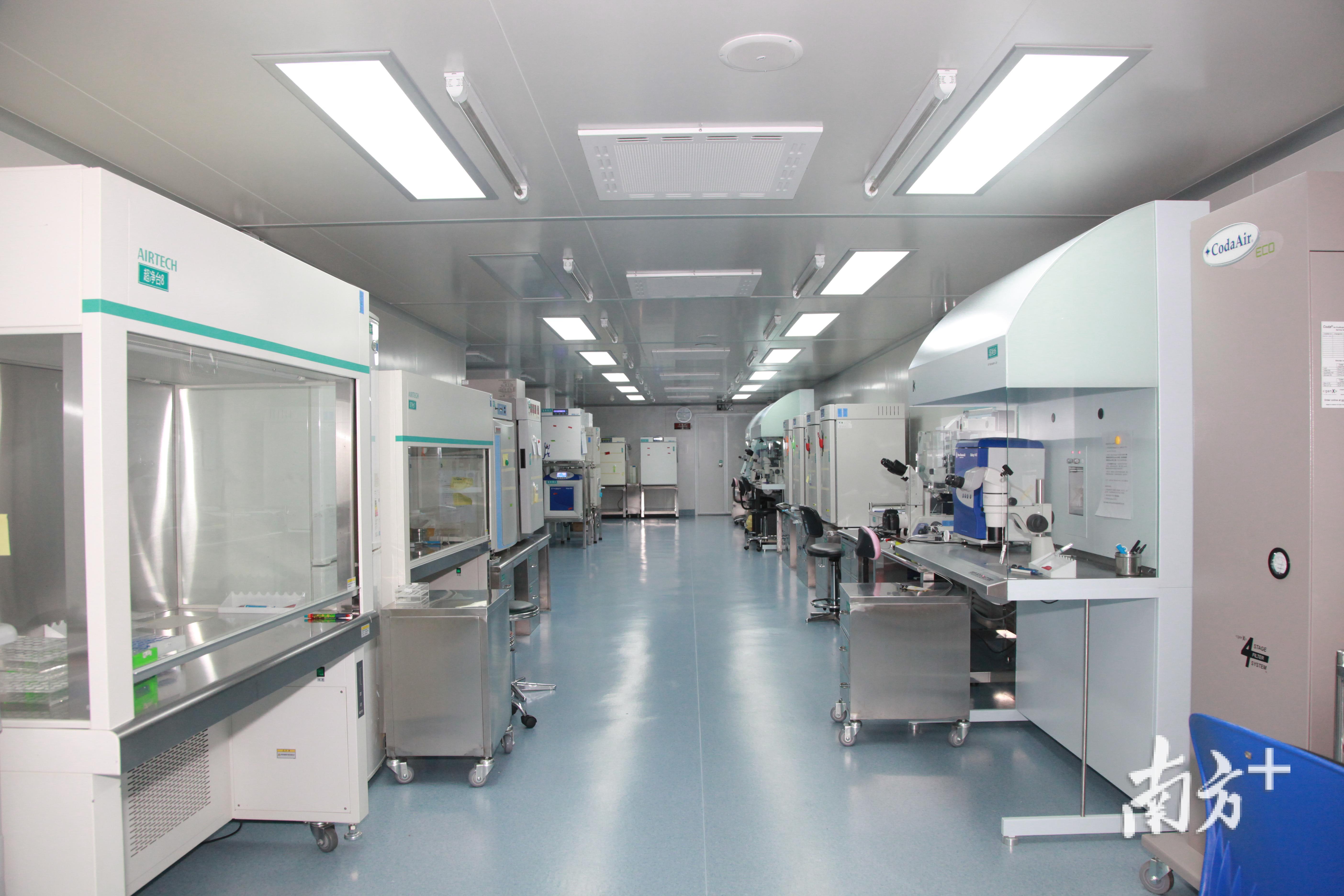 胚胎实验室是整个辅助生殖技术中最核心的部门。图为广医三院的胚胎实验室。