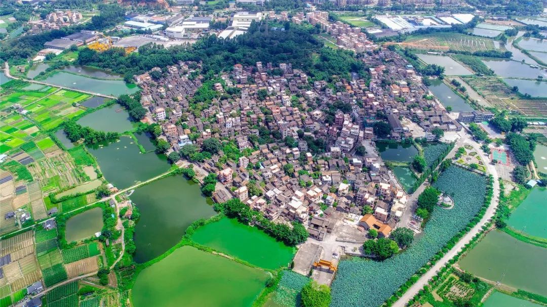 妈我在丹灶挺好的