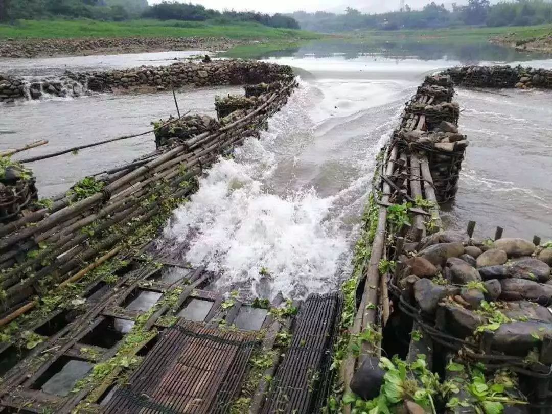 乡约丨肖屋鱼梁