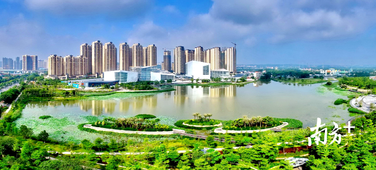 "南方 云东海频道"上线啦!在这里读懂三水城市标杆(附订阅指南)_南方p