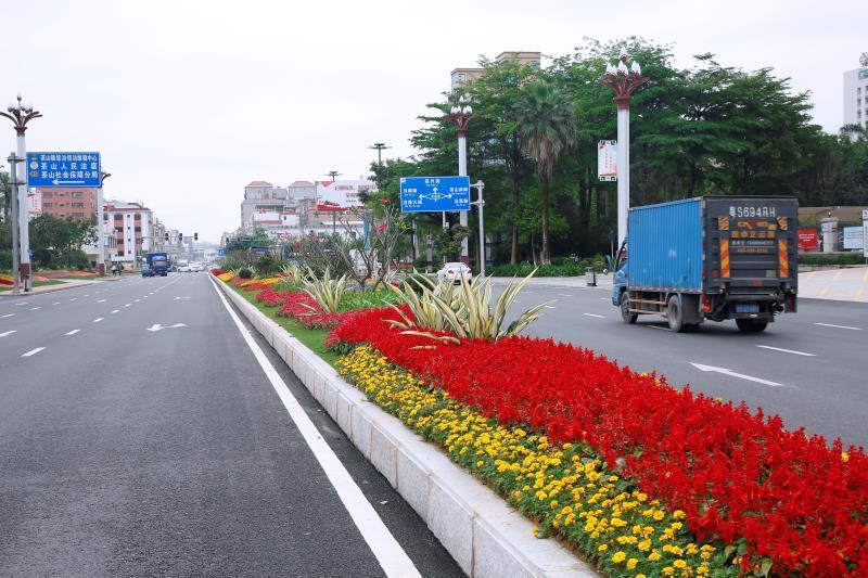 漂亮了七彩花木组团点缀街头茶山镇大力推进彩色林建设