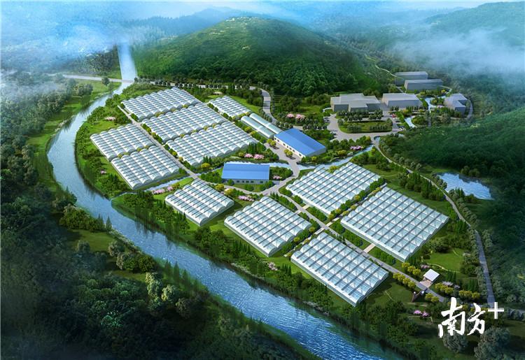 碧桂园连樟村现代农业科技示范园项目效果图。