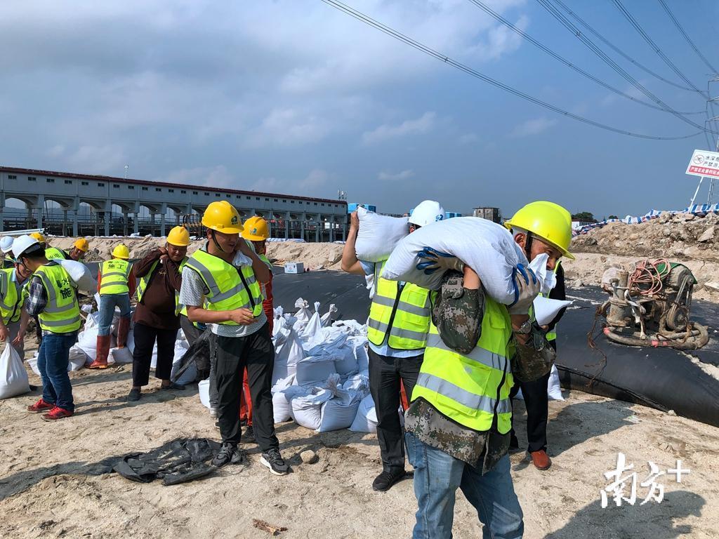 防汛抢险应急演练主要检验在遇到暴雨天气、汛期洪水来临时全体员工的快速反应能力。受访者供图