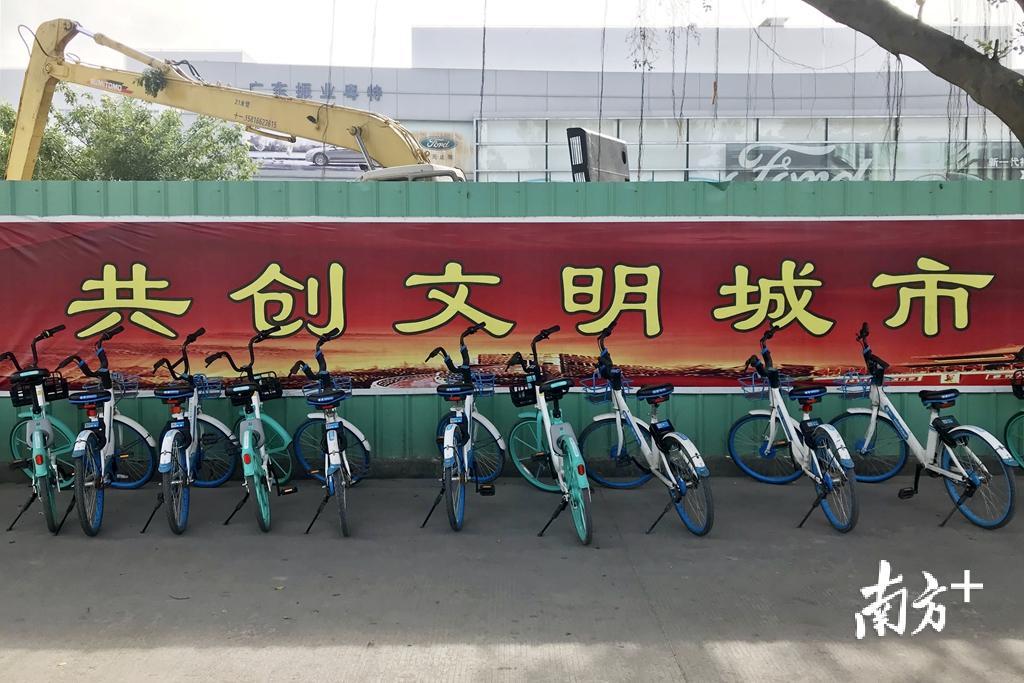 在创文大背景下，共享车辆需加强监管。