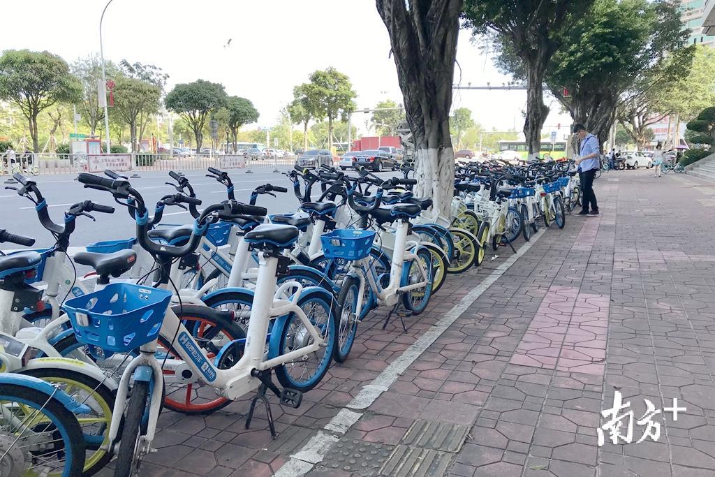 汕头城管部门不断探索共享车辆管理新模式。