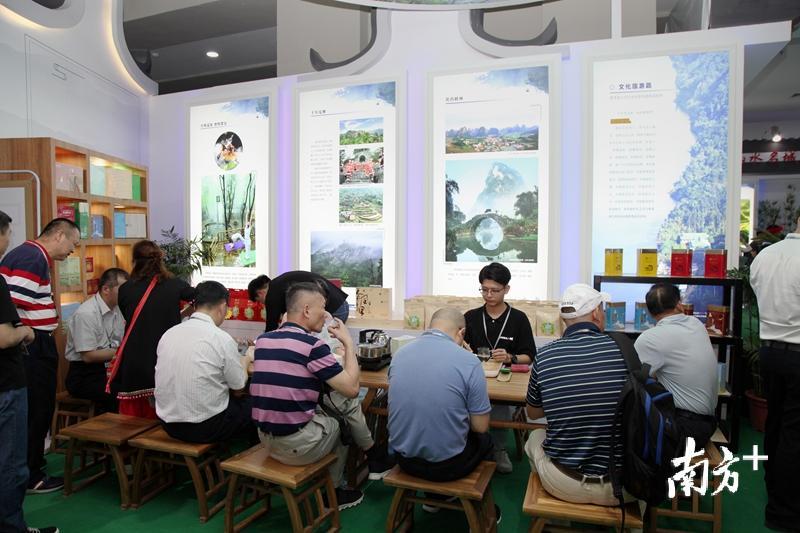 现场游客、商客品尝英德红茶。 现场游客、商客品尝英德红茶。