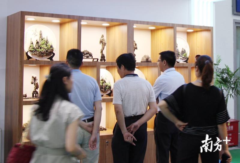 现场游客、商客观赏英石盆景。 现场游客、商客观赏英石盆景。