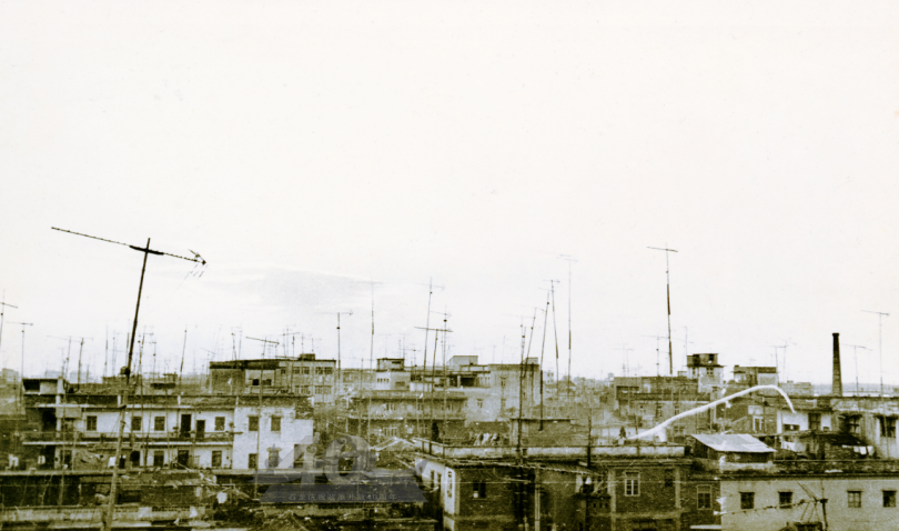 因为海外亲友众多，石龙很多居民都有亲戚从海外寄回电视机，使得20世纪80年代初的石龙几乎家家户户都竖起了电视天线