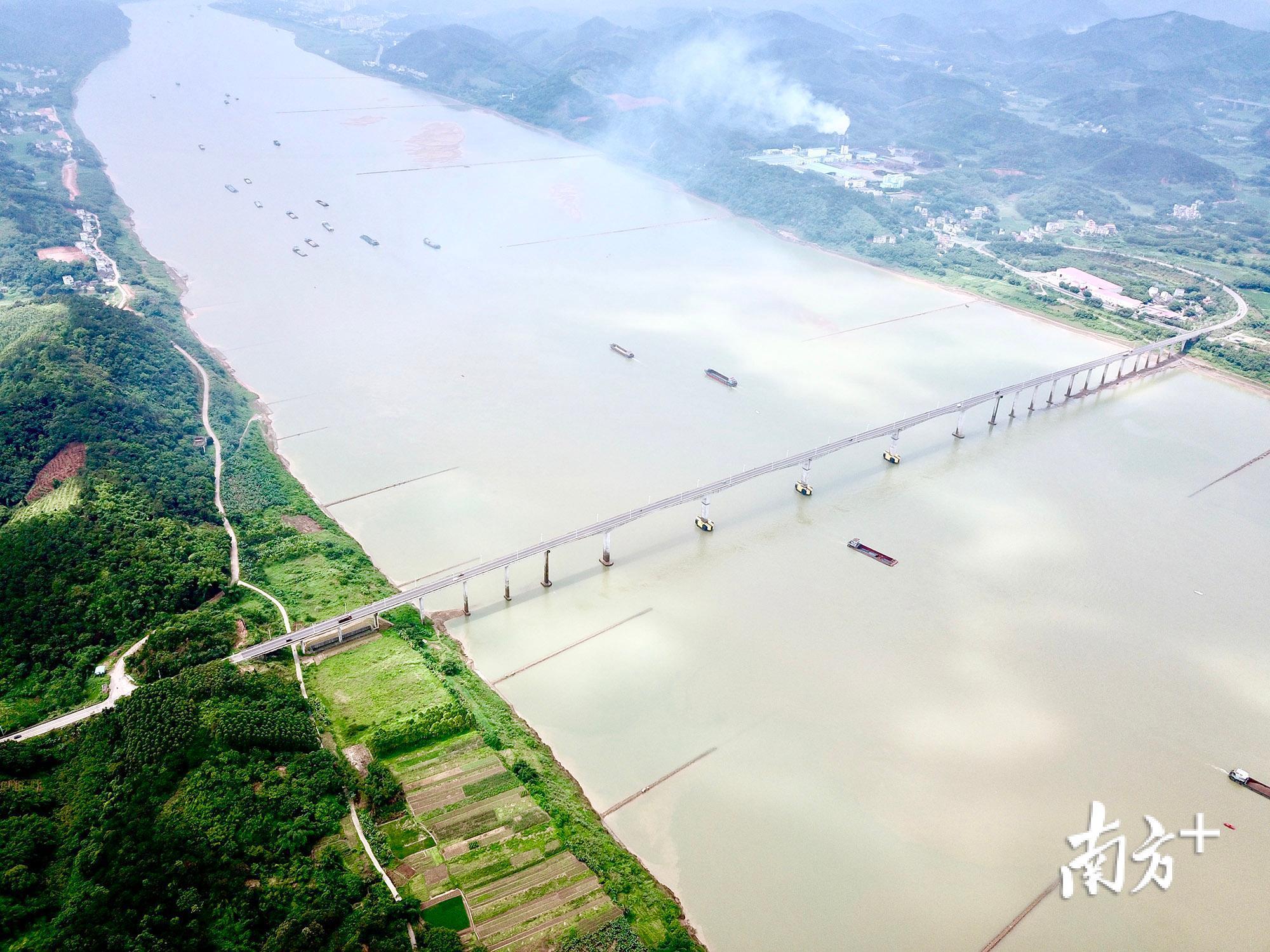 5月15日,肇庆封开西江大桥,随着汛期的到来,西江的航运变得越发繁忙。韦石明 摄 5月15日,肇庆封开西江大桥,随着汛期的到来,西江的航运变得越发繁忙。韦石明 摄