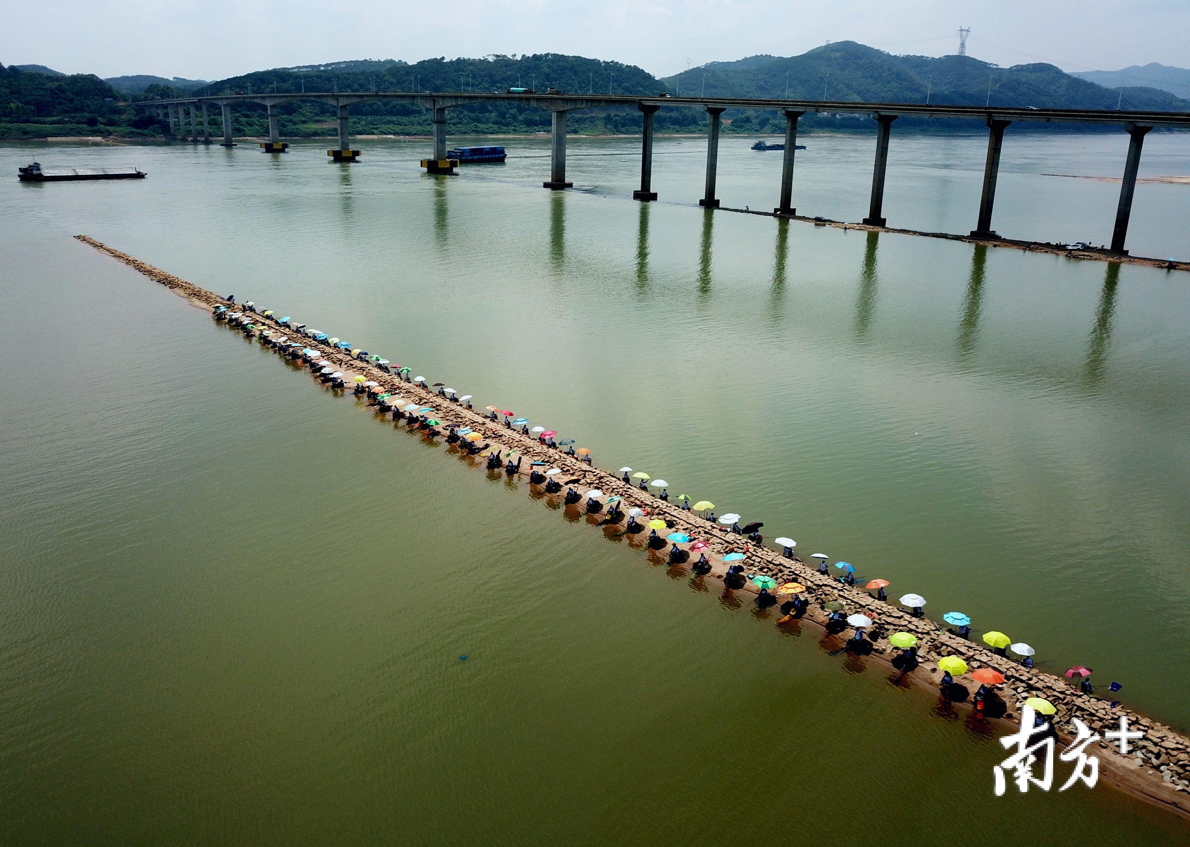 5月18日,钓鱼爱好者汇聚在西江边垂钓。莫献绪 摄 5月18日,钓鱼爱好者汇聚在西江边垂钓。莫献绪 摄