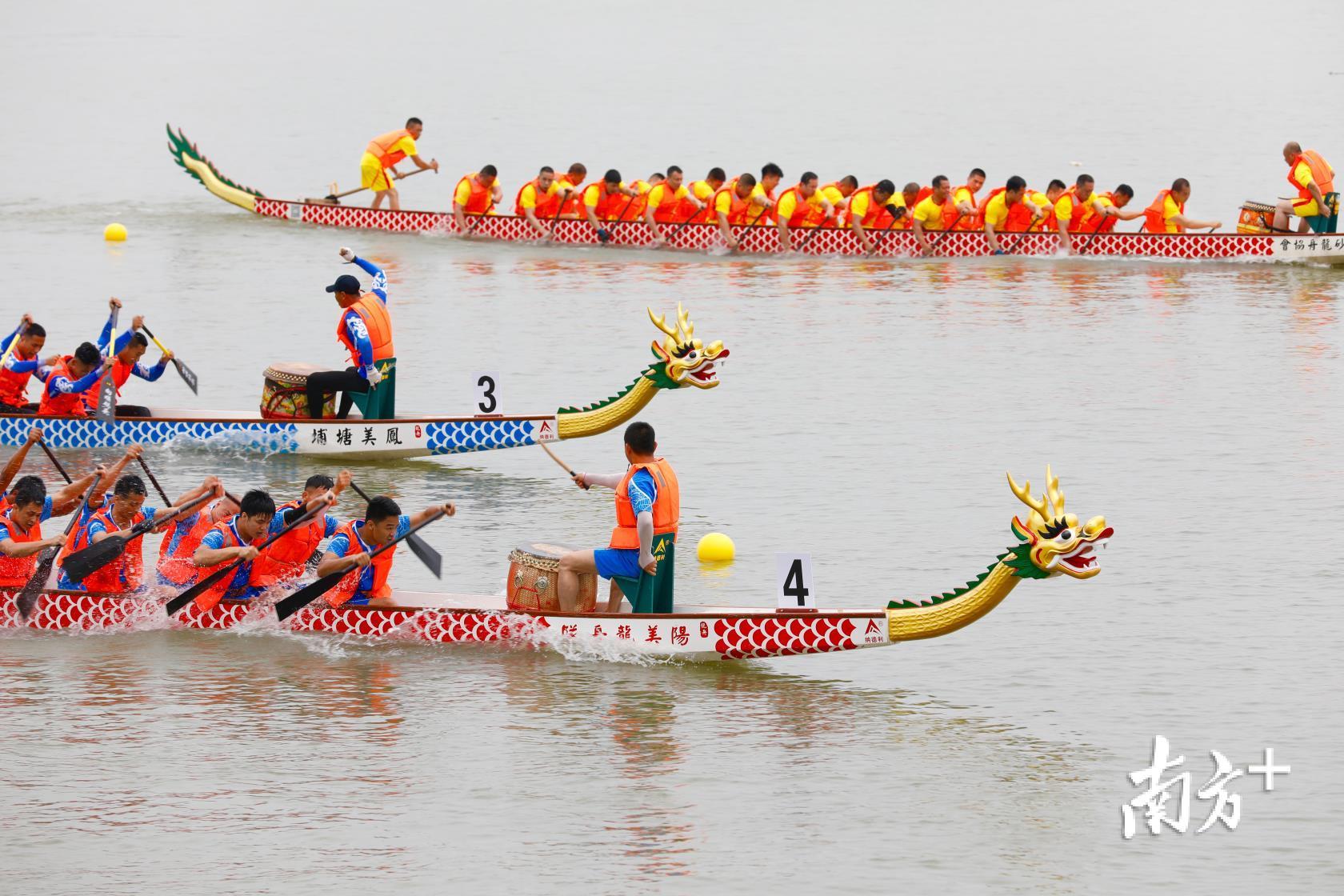 标准龙舟初赛.林碧鸿摄