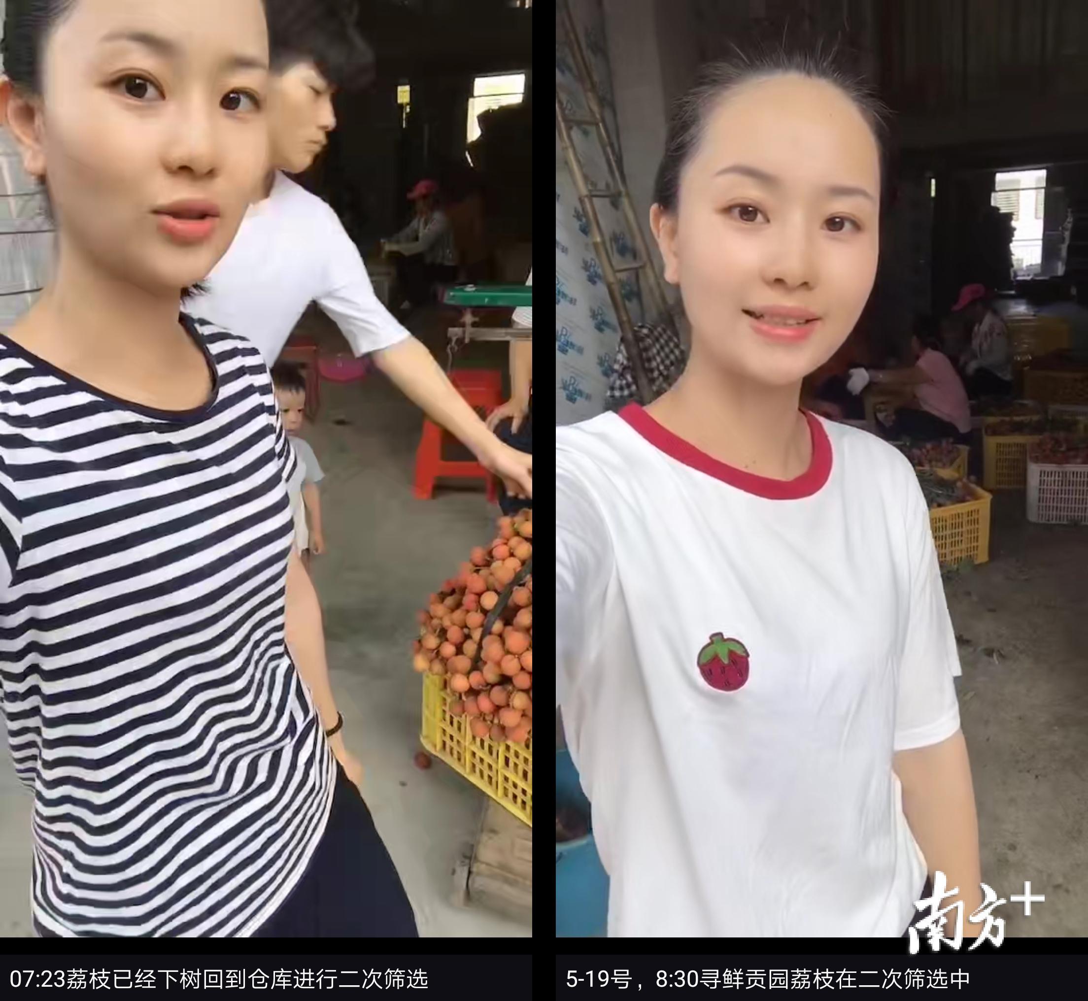 “荔枝妈咪”梁永艳在朋友圈讲解采摘出货流程。