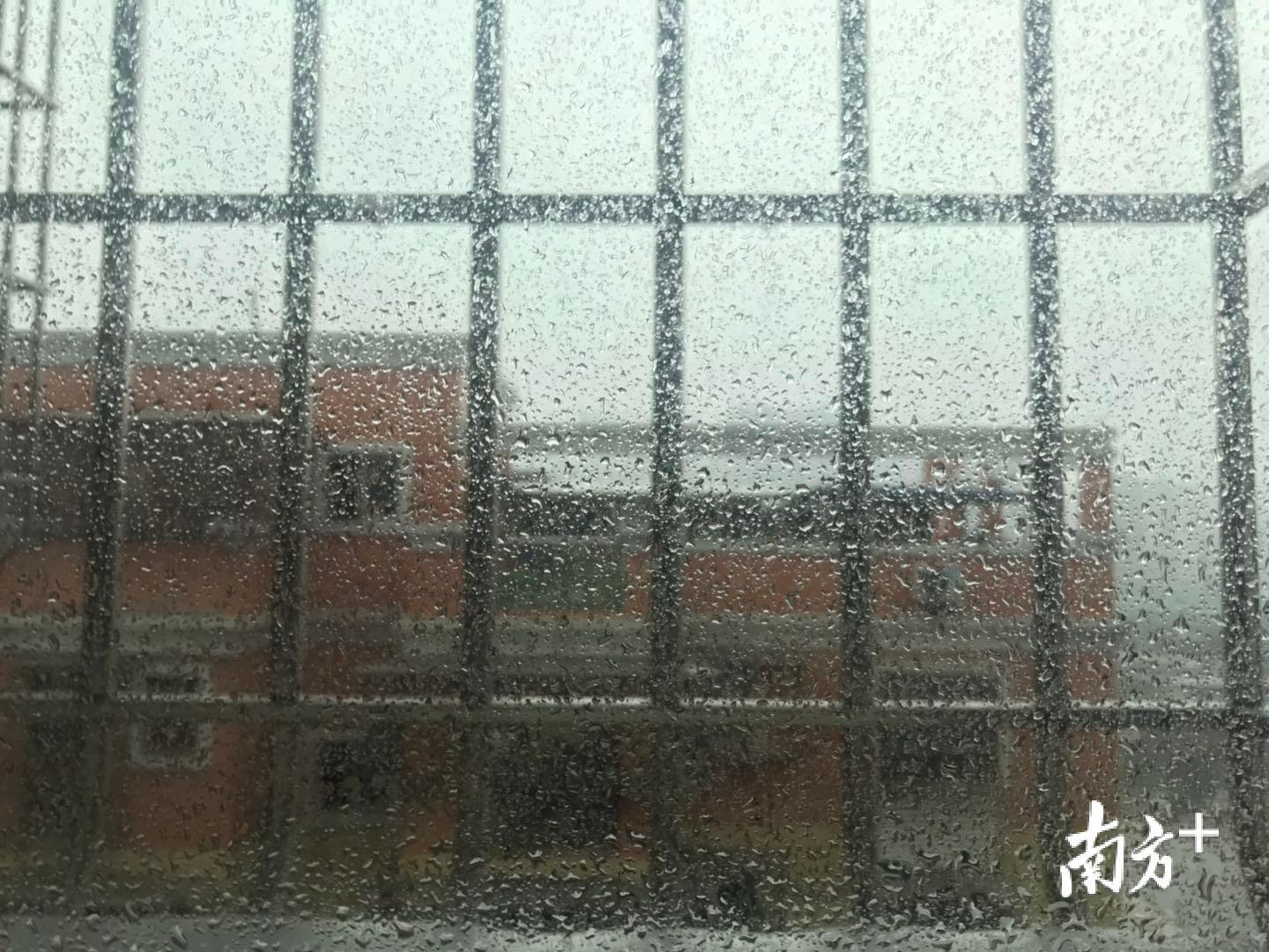 “暴雨式”早安。钟惠琳 摄
