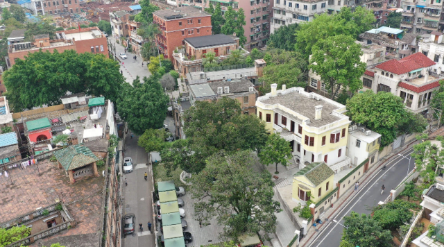 定了！今年大湾区将打造4条文化遗产游径，专家详解