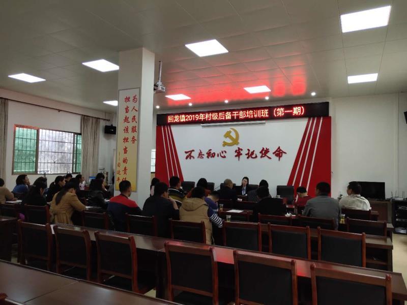 新丰县大力实施“头雁”工程和村级班子“青苗”培养工程，建立完善专人帮带、谈心谈话、定期培训、压岗锻炼等培养机制，着力选优配强基层党组织带头人