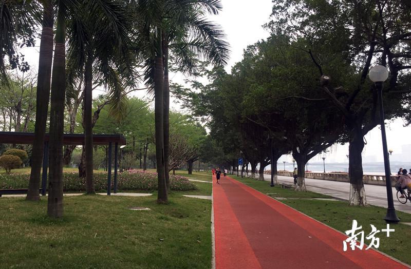 未来,滨江缓跑径还将“亮起来”。 摄影:刘力勤 未来,滨江缓跑径还将“亮起来”。 摄影:刘力勤