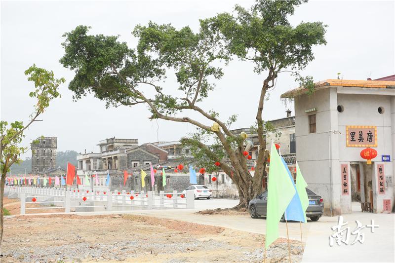 “三清三拆三整治”后的塘新村。