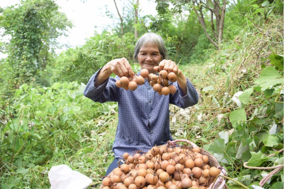 ▲图片来源 怀集发布 ▲图片来源 怀集发布