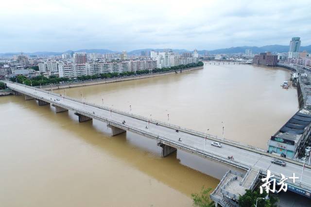 除了参与设计和建造武汉、南京长江大桥，虎门大桥等，李国豪在回乡期间，建言东山大桥建设，为工程节约了大量成本。袁群华 摄