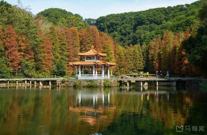 門票:免費開放位置:深圳羅湖區仙湖植物園弘法寺白雲山被稱為羊城第一