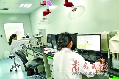 近年来，清远加快培育先进制造业和高技术制造业等战略性新兴产业，逐步调整优化产业结构。梁素雅 摄