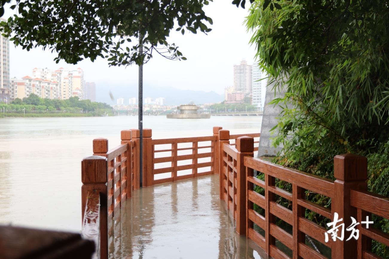 河源市会议中心前的亲水步道被淹，仅露出栏杆的顶部。远处的喷泉座底也被江水填满。
