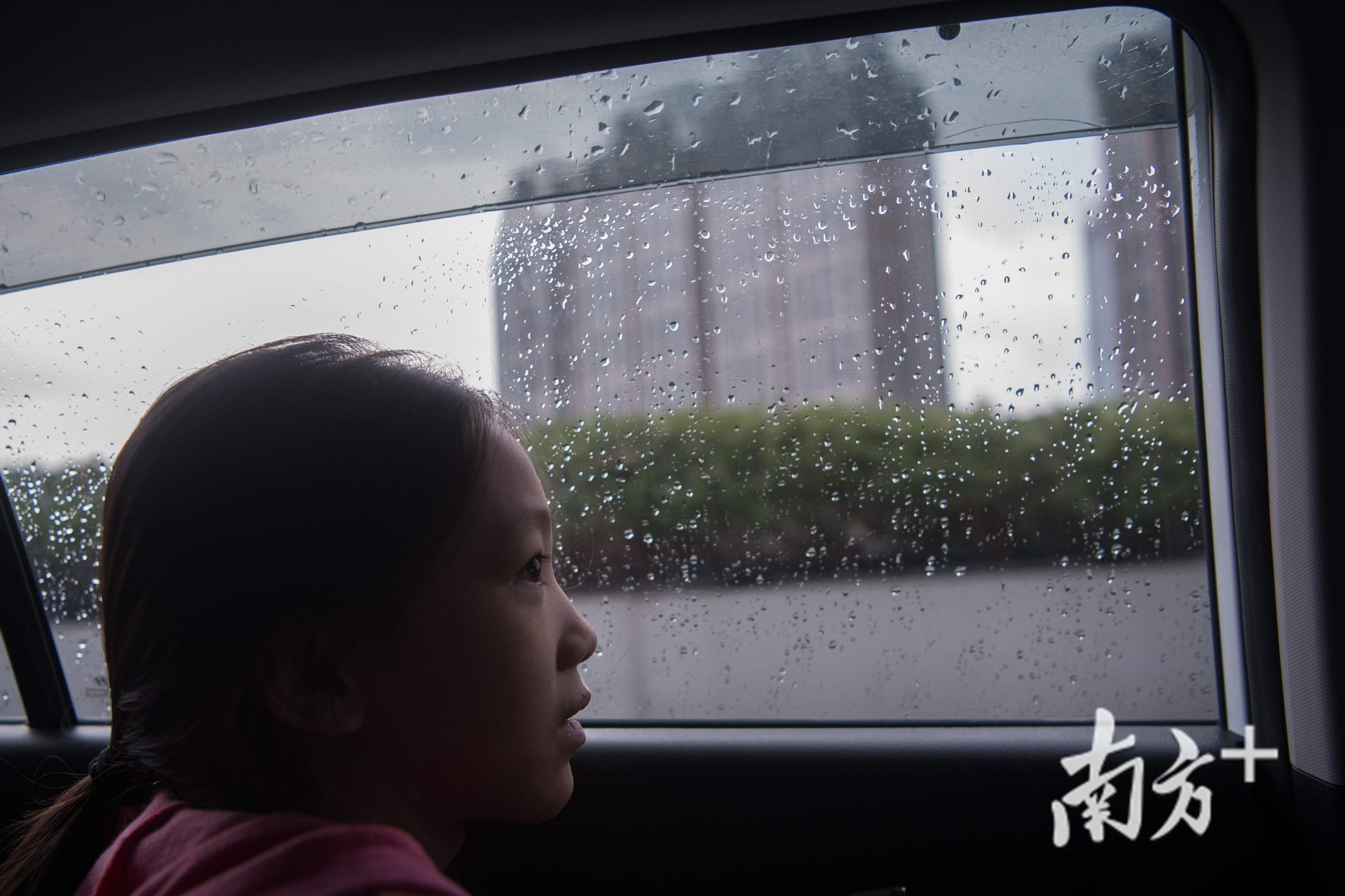 初到广州的思莹对车窗外的一切都很好奇。