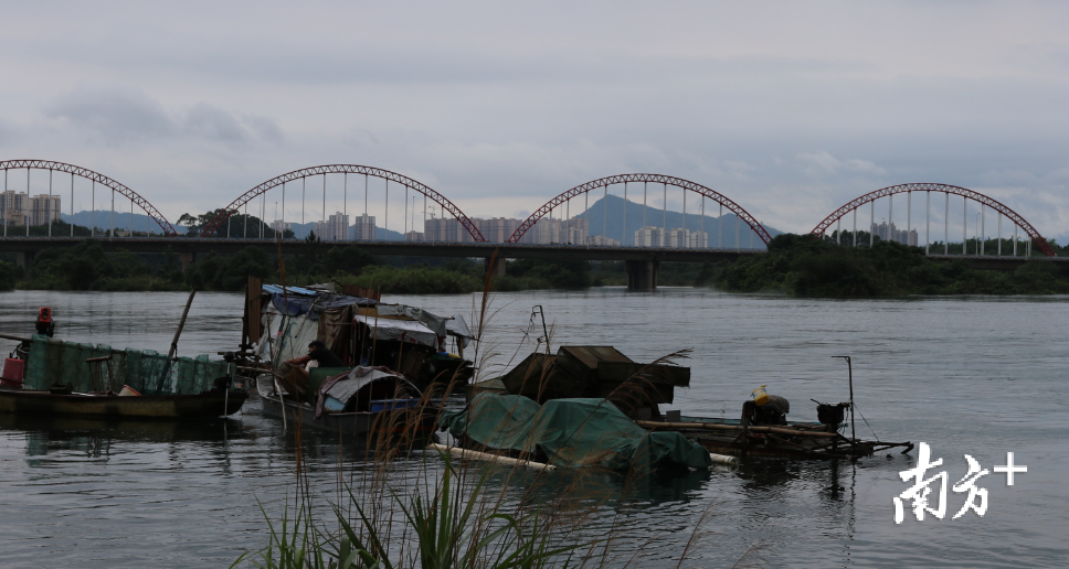 浩浩荡荡的新丰江水几乎快平齐庄田大桥桥面。