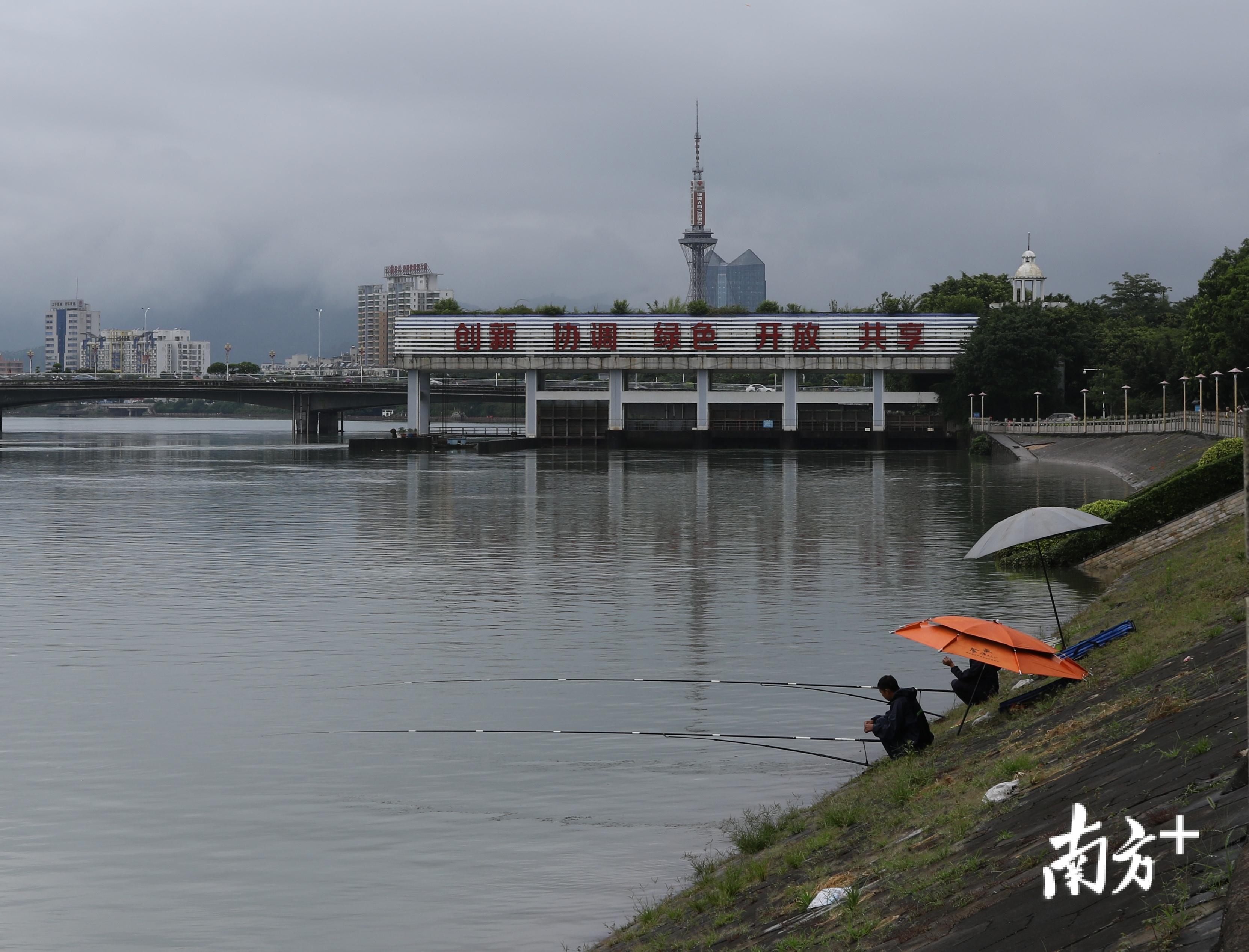 垂钓者不改作息，仍冒雨钓鱼。