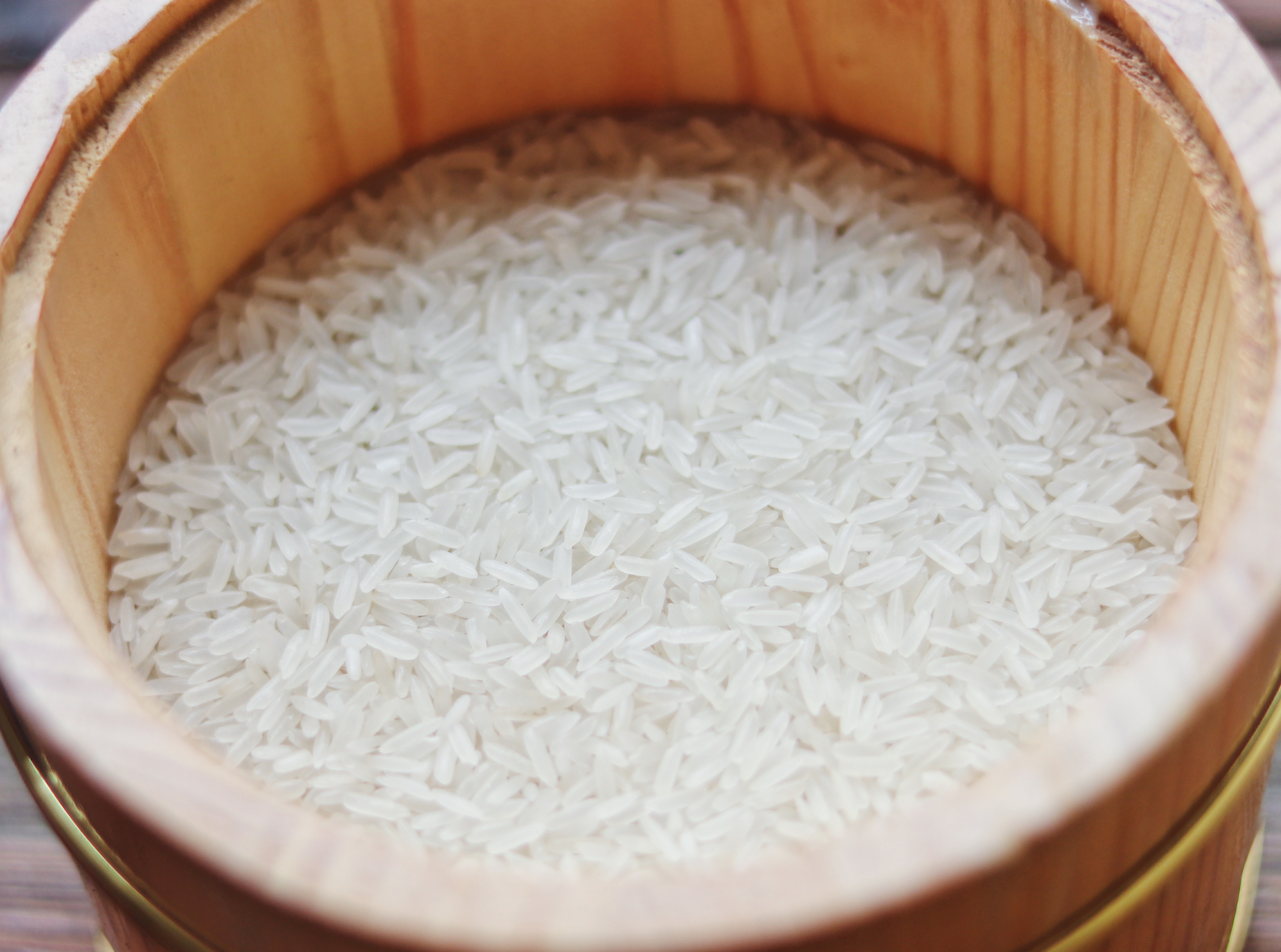 蕉岭特色丝苗米产业如何发展?行业大咖这样说