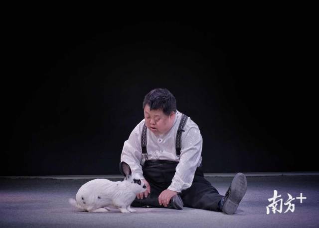 舟舟在排练室舞台上和同事养的小兔子一起玩。