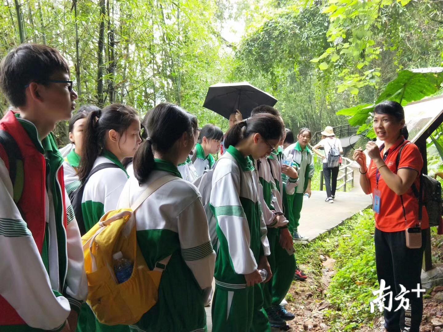 丹霞山成为中小学生研学实践基地首选地。