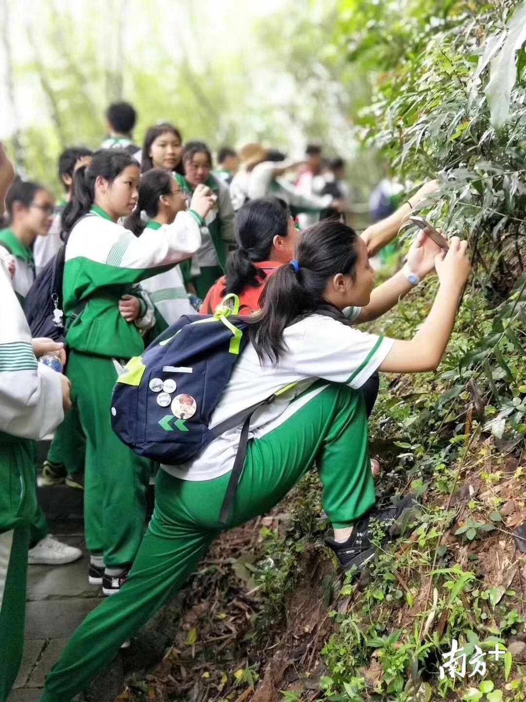 中学生到丹霞山开展研学实践活动。