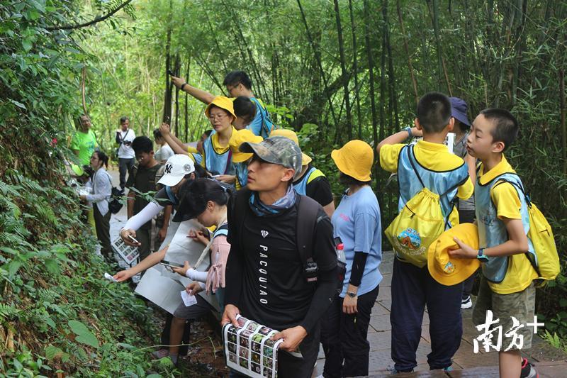 研学团队到丹霞山开展植物辨认研学活动。