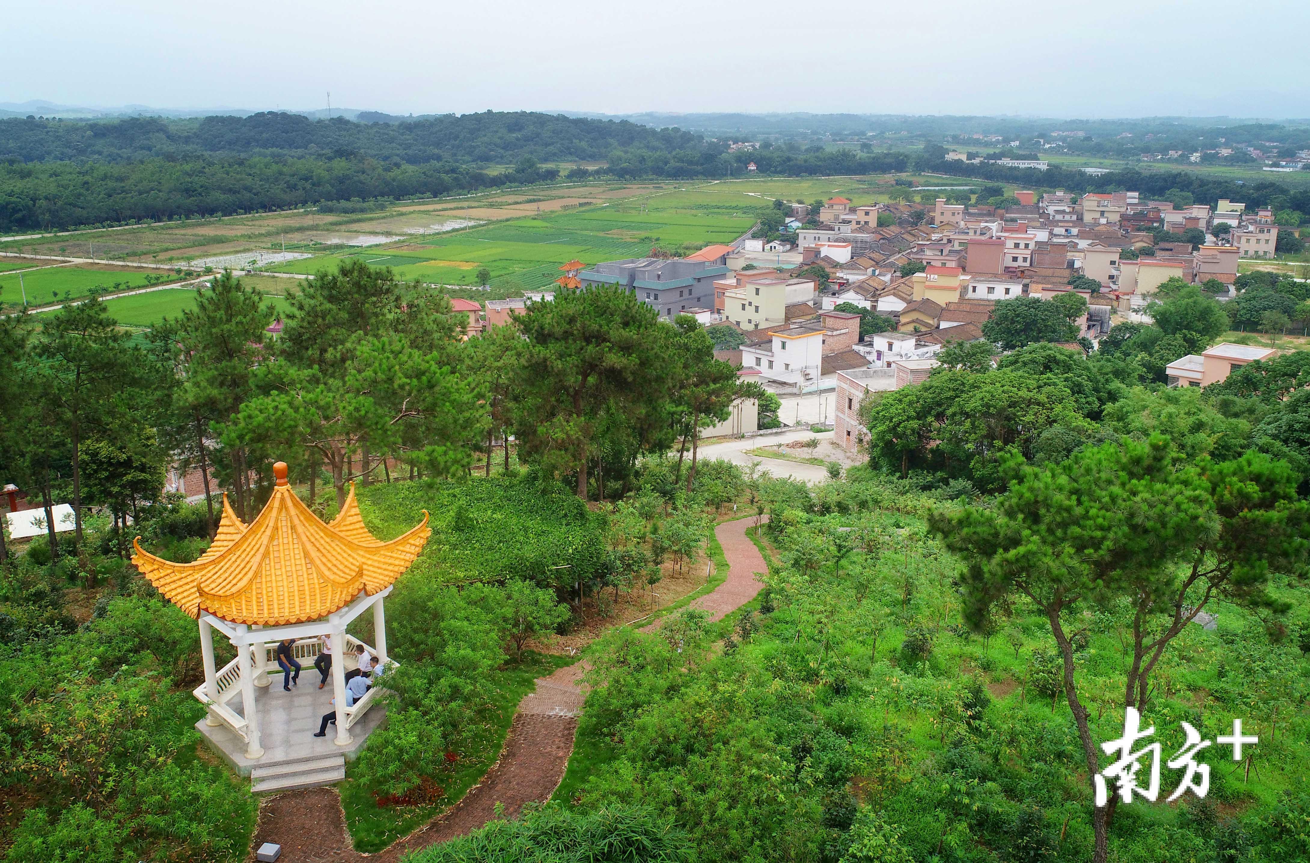 四会最美乡村旅游图片