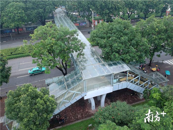 组图 | 宛如艺术品!航拍惠州人行天桥,360度无死角_南方plus_南方+