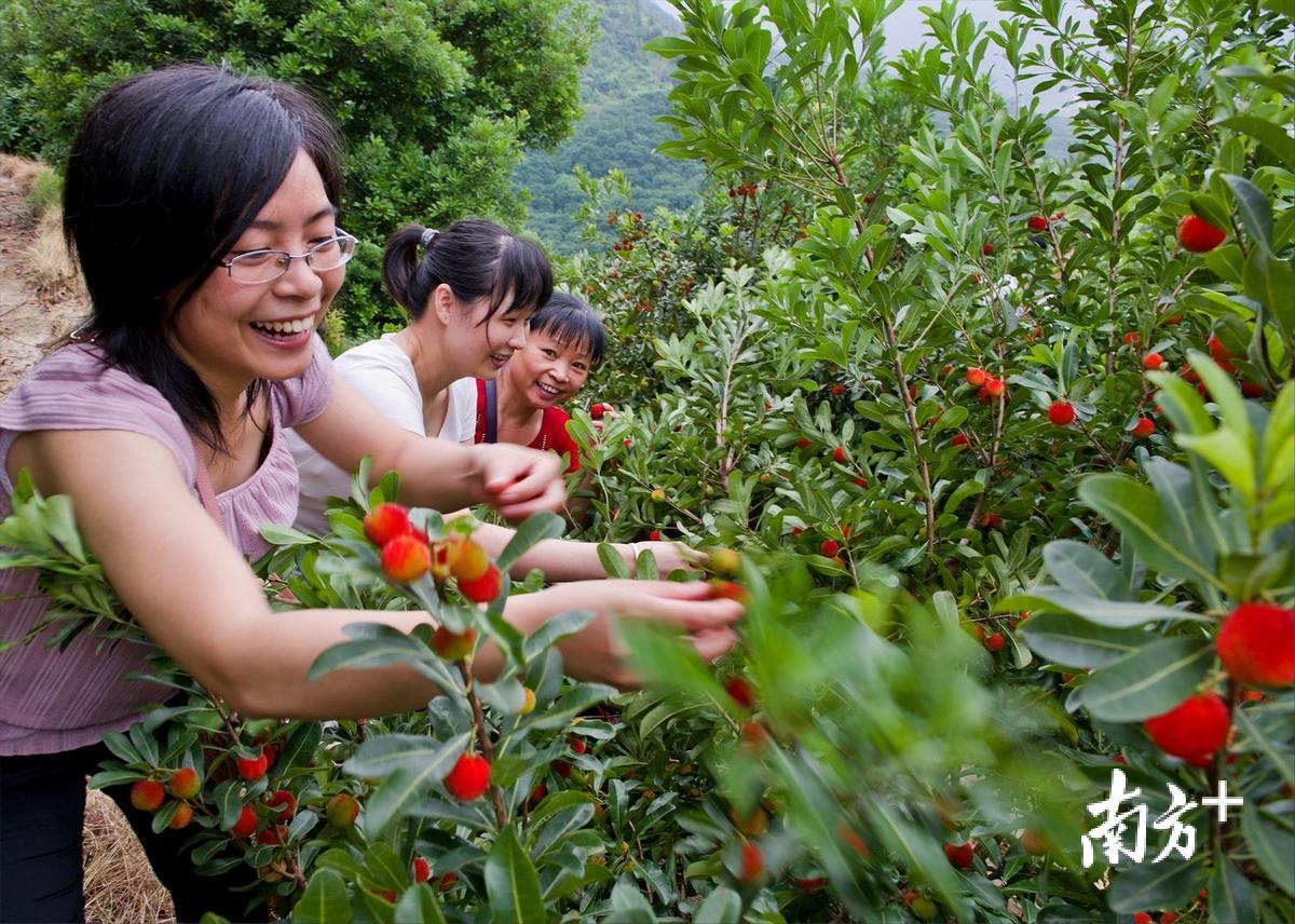 农业体验 农业体验