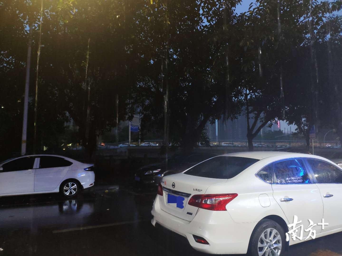 蓬江区短时雨势较大。黄绍侦 摄