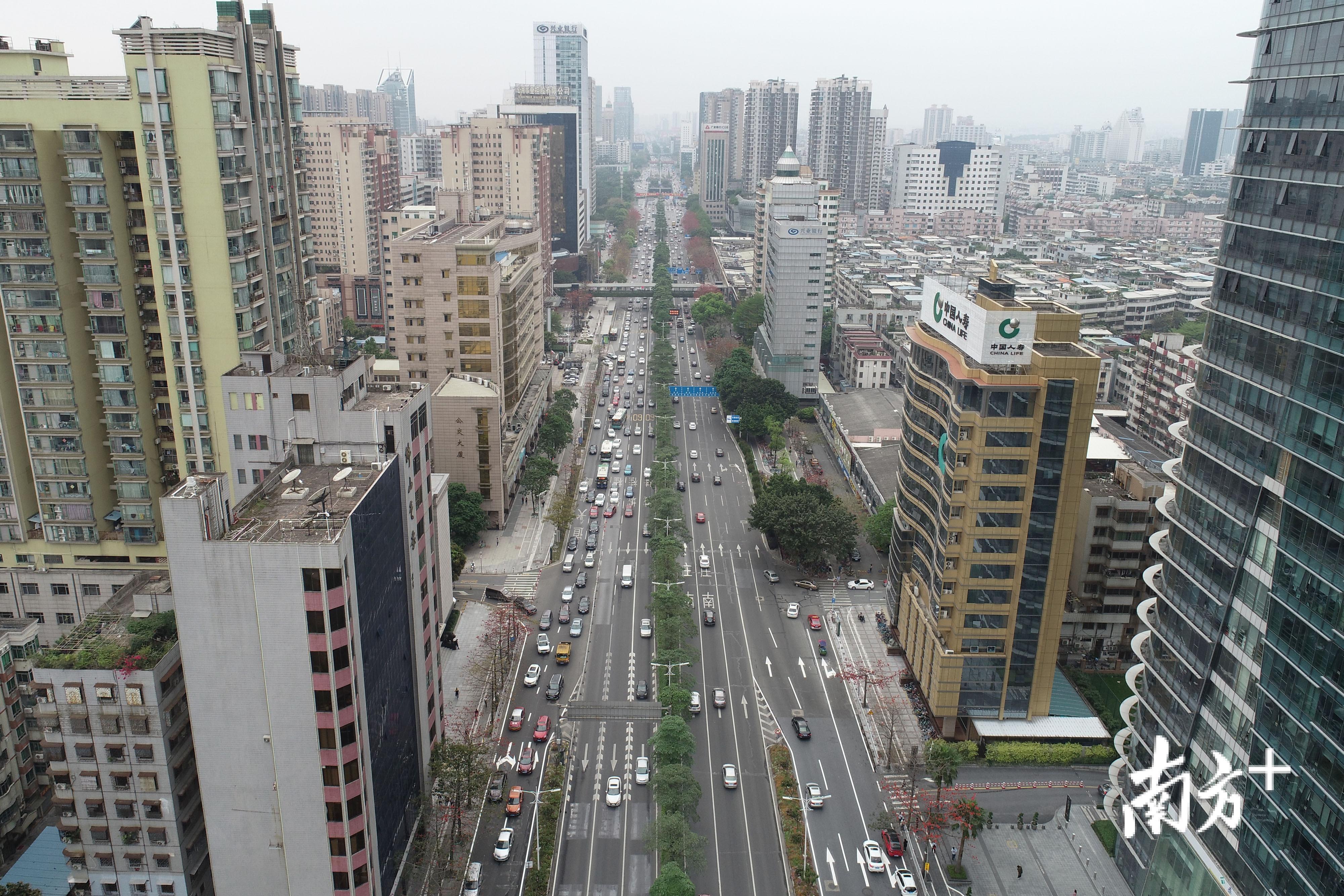 季华商务带。南方+记者 戴嘉信 摄 季华商务带。南方+记者 戴嘉信 摄