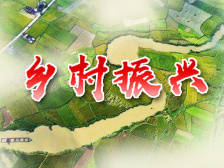 乡村振兴展新颜