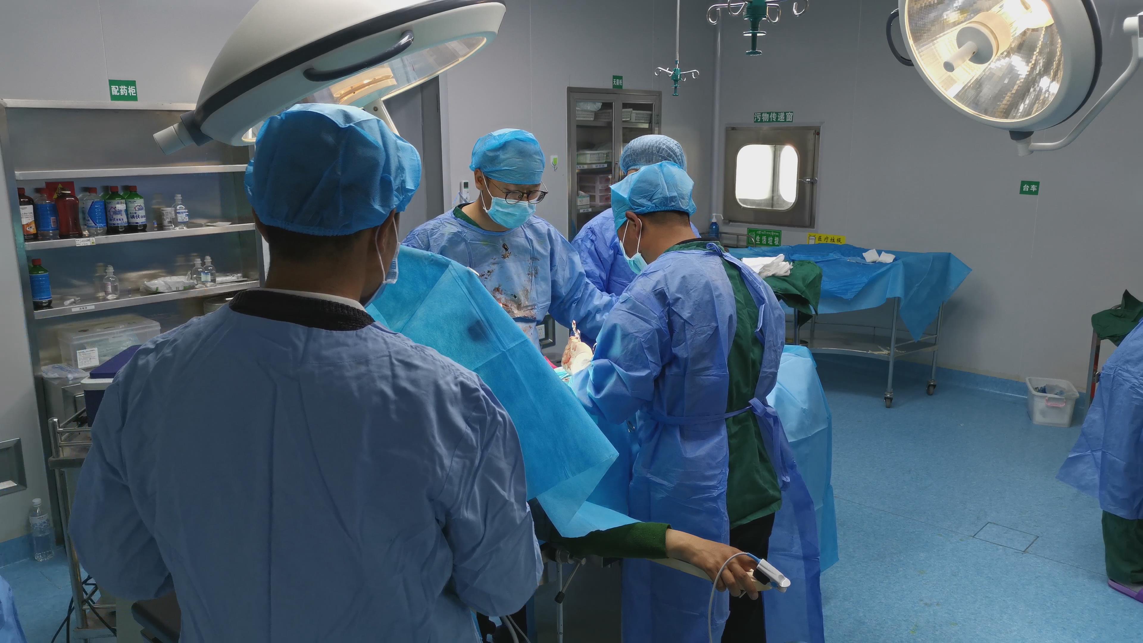 付帅医生主刀进行剖宫产手术.