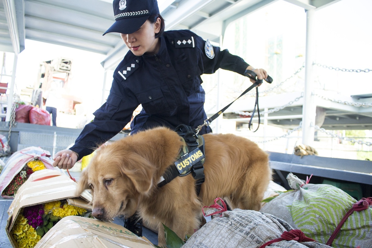 世大運ING 警犬隊萌萌安檢超吸睛 | 生活 | Newtalk新聞