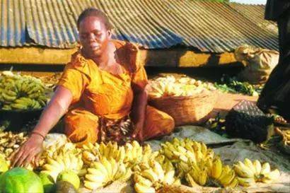 中国人在乌干达:香蕉当饭吃!起初不习惯,