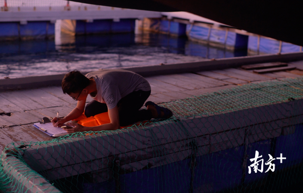 科研人员24小时不间断记录“萌丫”监测数据。