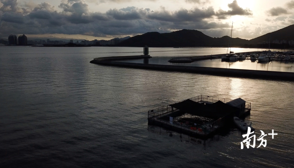 位于海南省三亚市的中科院深海所鲸豚救治平台，是此次“萌丫”救助的场所。