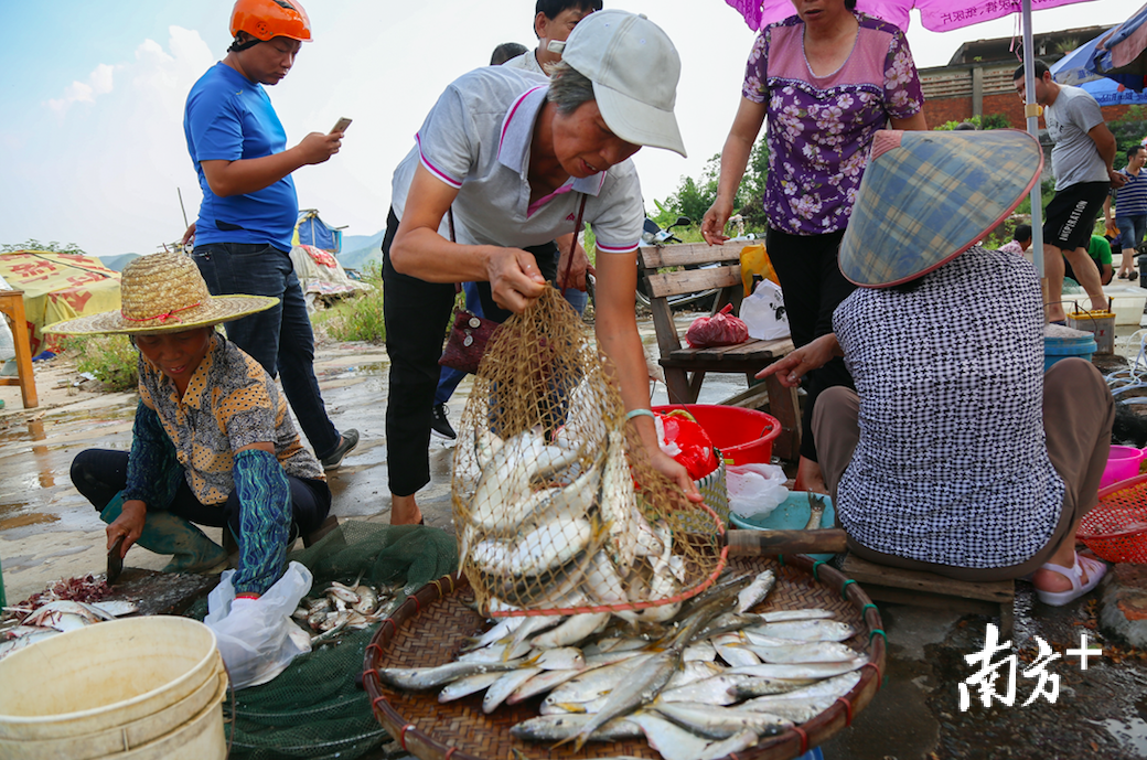 西江河畔的“河鲜市场”十分热闹。梁小明 摄 西江河畔的“河鲜市场”十分热闹。梁小明 摄