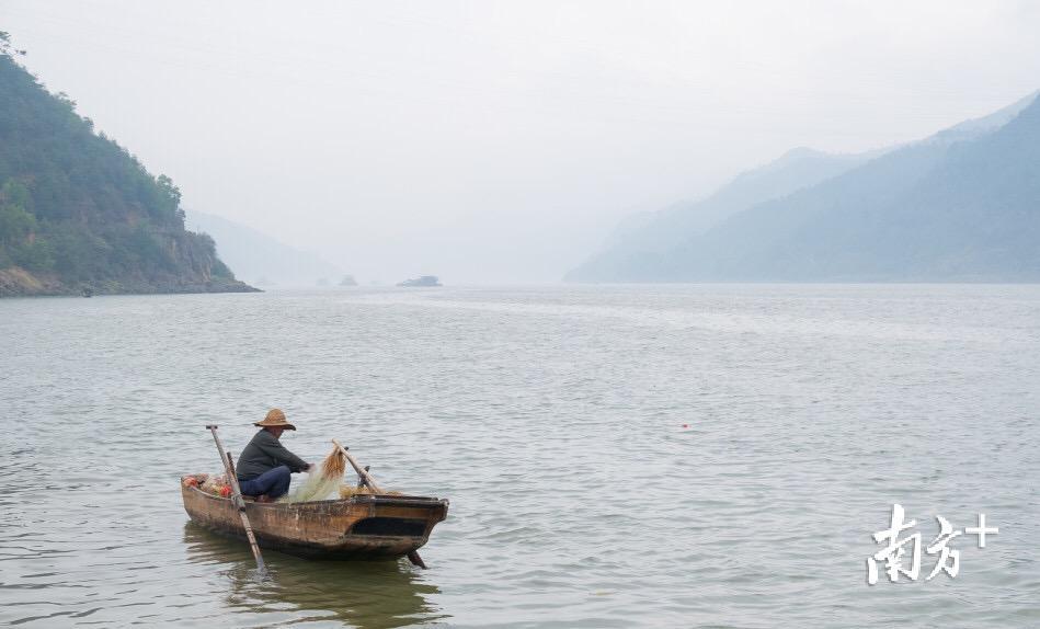 吴勇强 摄 吴勇强 摄