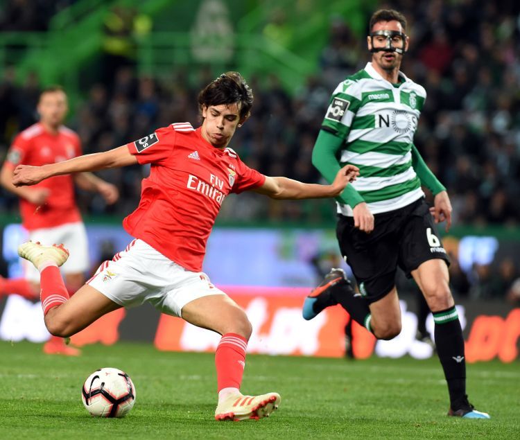 2月3日,本菲卡队球员费利什(左)在葡超比赛中射门得分。 2月3日,本菲卡队球员费利什(左)在葡超比赛中射门得分。